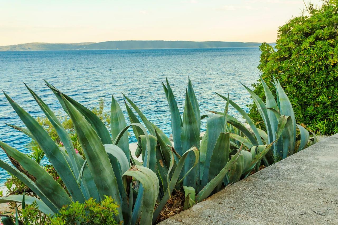 Holiday Home Lola, Sea On A Palm! Heated Pool 特罗吉尔 外观 照片